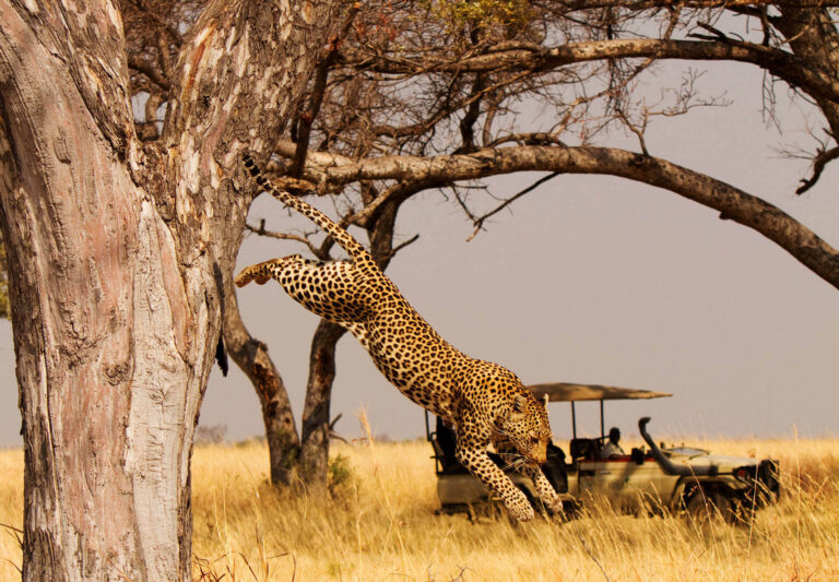 Luxury African Safaris | Tanzania Tours- Maasai Travel