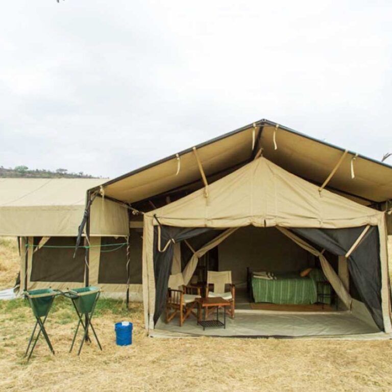 Ndutu katikati Tented Camp